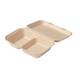 Hamburgermenubox bagasse 250x165x70mm 2-vaks